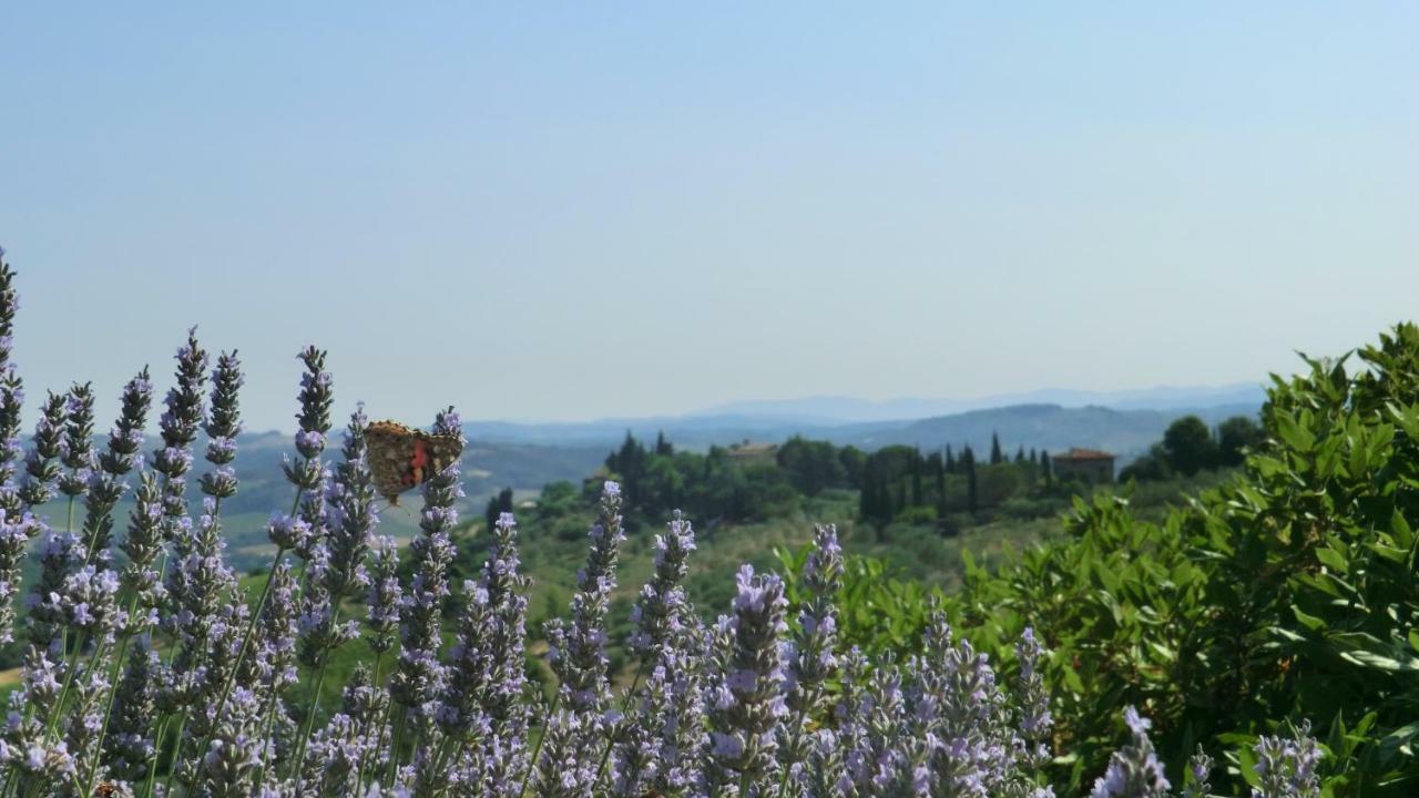 Appartamenti Ava E Tegrino Nell'Antica Dimora Di Fulignano San Gimignano Kültér fotó