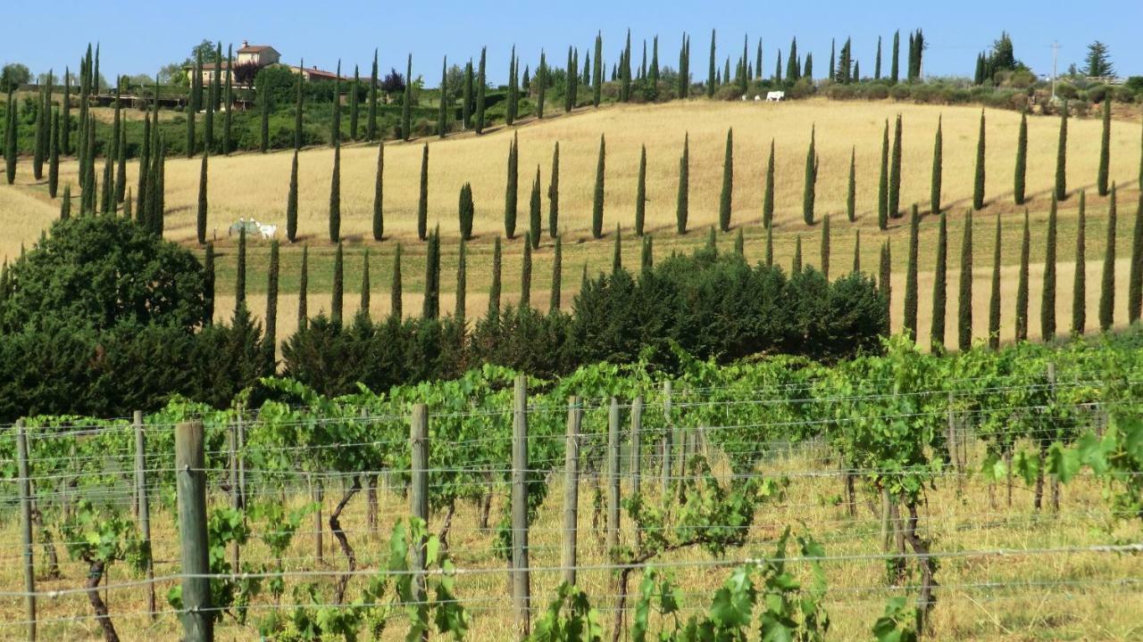 Appartamenti Ava E Tegrino Nell'Antica Dimora Di Fulignano San Gimignano Kültér fotó